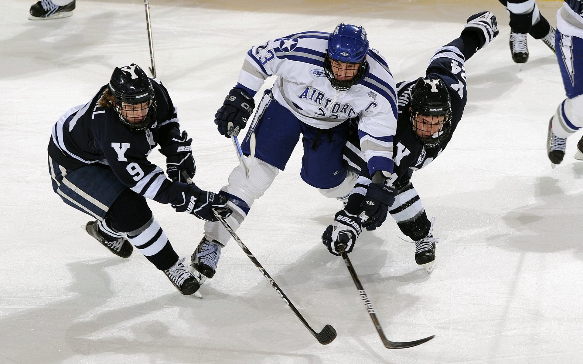 体育新闻中心主办体育文化数字创新应用大会,数字体育发展